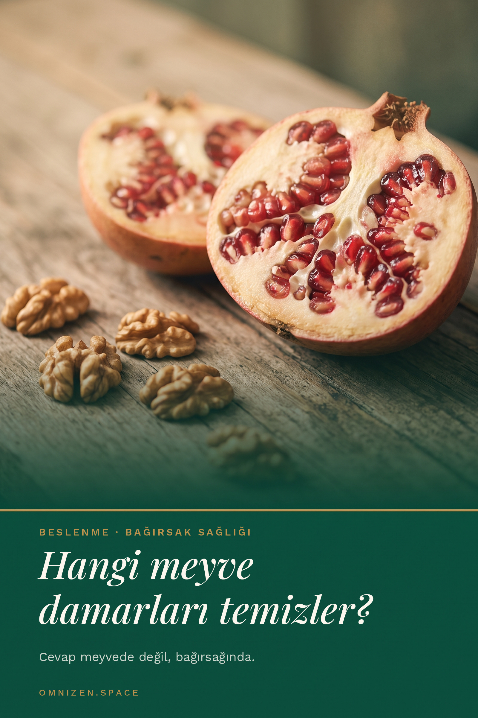 meyve bagirsak damar pinterest 1
