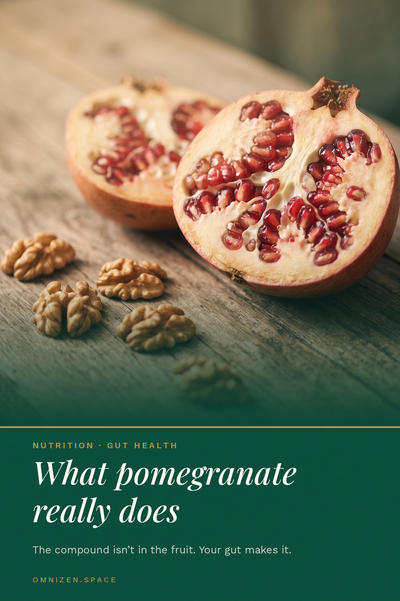 Vertical wellness graphic about pomegranate, the gut and artery health