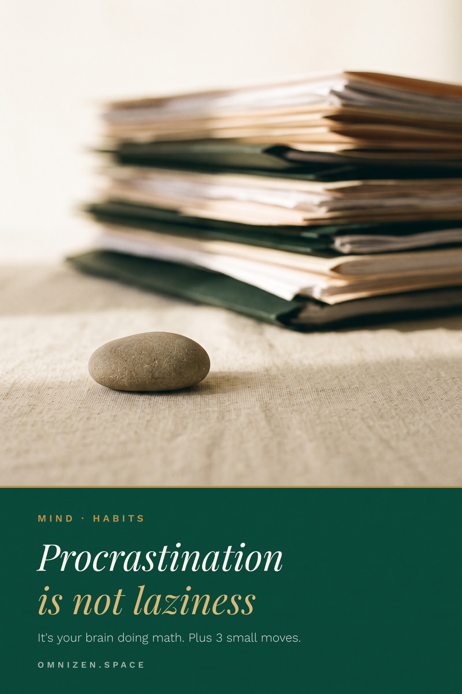 Vertical graphic titled "Procrastination is not laziness"